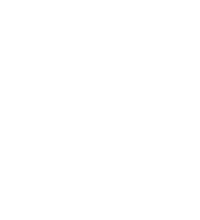 Trip Advisor 2025